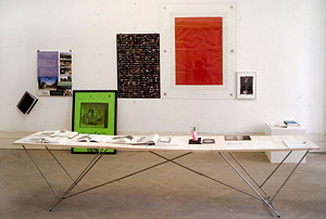 Ansichten "Images", Wien, 2007; kuratiert gemeinsam mit Rita Vitorelli