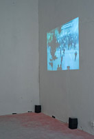 Ansichten "Images", Wien, 2007; kuratiert gemeinsam mit Rita Vitorelli